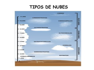 TIPOS DE NUBES
 