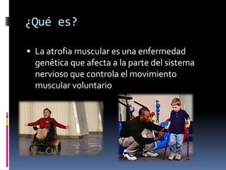 ¿Qué es?
 La atrofia muscular es una enfermedad
genética que afecta a la parte del sistema
nervioso que controla el movim...