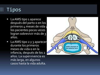 Tipos
 LaAMS tipo 1 aparece
después del parto o en los
primeros 4 meses de vida y
los pacientes pocas veces
logran sobrev...