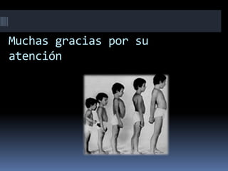 Muchas gracias por su
atención
 