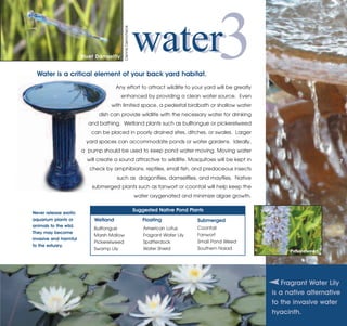 water                            3
                                          Dennis Demcheck
                       Bluet Damselfly


  Water is a critical element of your back yard habitat.
                                      Any effort to attract wildlife to your yard will be greatly
                                         enhanced by providing a clean water source. Even
                                   with limited space, a pedestal birdbath or shallow water
                              dish can provide wildlife with the necessary water for drinking
                         and bathing. Wetland plants such as bulltongue or pickerelweed
                           can be placed in poorly drained sites, ditches, or swales. Larger
                         yard spaces can accommodate ponds or water gardens. Ideally,
                       a pump should be used to keep pond water moving. Moving water
                         will create a sound attractive to wildlife. Mosquitoes will be kept in                                 7
                          check by amphibians, reptiles, small fish, and predaceous insects
                                      such as dragonflies, damselflies, and mayflies. Native
                           submerged plants such as fanwort or coontail will help keep the
                                                            water oxygenated and minimize algae growth.

                                                            Suggested Native Pond Plants
Never release exotic
aquarium plants or          Wetland                            Floating               Submerged
animals to the wild.                                                                  Coontail
They may become
                            Bulltongue                          American Lotus

invasive and harmful
                            Marsh Mallow                        Fragrant Water Lily   Fanwort

to the estuary.
                            Pickerelweed                        Spatterdock           Small Pond Weed

                                                                                                                Pickerelweed
                            Swamp Lily                          Water Shield          Southern Naiad




                                                                                                             Fragrant Water Lily
                                                                                                          is a native alternative
                                                                                                          to the invasive water
                                                                                                          hyacinth.
 