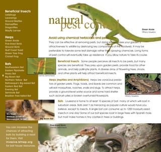 natural control
                                            pest
  Beneficial Insects
  Ladybugs
  Lacewings
  Ground Beetles
  Damselflies
  Dragonflies
                                                                                                                              Green Anole
  Mayfly Larvae
                                                                                                                              Tiffany Hawkins

  Herps                                   Avoid using chemical herbicides and pesticides.
  Green Anole
  Five-lined Skink
                                          They can be effective at removing pests, but doing so decreases your garden’s
  Ground Skink                            attractiveness to wildlife by destroying key components of the foodweb. It may be
  Gulf Coast Toad                         preferable to tolerate some leaf damage rather than spraying chemicals. Living forms
  Green Tree Frog
  Cricket Frog
                                          of pest control will eventually take up residence if you allow nature to take its course.

                                                   Beneficial Insects Some people perceive all insects to be pests, but many
  Bats
  Southeastern Bat
                                                  species are beneficial. They prey upon garden pests, provide food for other

  Eastern Pipistrelle                             animals, and help pollinate plants. A diverse array of flowering trees, shrubs,
  Hoary Bat                 Needham’s Skimmer
8
                                                  and other plants will help attract beneficial insects.
  Big Brown Bat
                               Dennis Demcheck

  Northern Yellow Bat                    Herps (Reptiles and Amphibians) Herps are voracious preda-
  Rafinesque’s Big-eared Bat             tors of garden pests. Frogs, toads, and lizards are common and
  Eastern Red Bat
  Evening Bat
                                         will eat mosquitoes, roaches, snails and slugs. To attract herps,

  Seminole Bat                           provide a ground-level water source and some hard shelter
                                                                                                               Gulf Coast Toad
  Brazilian Free-tailed Bat              such as brush piles or broken overturned flowerpots.                 Tiffany Hawkins

                                                   Bats Louisiana is home to at least 10 species of bat, many of which will roost in
                                                   suburban areas. Bats aren’t as menacing as popular culture would have you
                                                   believe, except to insects. A single bat can consume up to 1200 mosquito-sized
   G.L. Twiest,                                    insects in one day! Some of our bat species roost in large trees with Spanish moss,
   American Society of
                                  Big Brown Bat
                                                   but most make homes in tiny cavities in trees or buildings.
   Mammalogists, LA DWF


                                           Five-lined Skink
   You can increase the                    Dennis Demcheck
   chances of attracting
   bats by building a roost
   for them. Visit
   invasive.btnep.org
   for bat house resources.
 