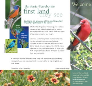 Welcome
                                             first land see
                                                 Barataria-Terrebonne

                                                    they
                                                 Louisiana sits atop one of the most important
                                                 migratory pathways in the world.
Charlie Hohorst




                               Painted
                               Bunting                    Whether traveling across the open gulf or overland,
                                                          many artic and tropical migrants rely on our rich
                                                          estuary for water and food. Millions each year arrive
                                          Bird            at our coast exhausted and hungry.
                                          Migration
                                          Pathways
                                                          Land loss, Louisiana’s gravest environmental crisis,
                                                          has dramatically impacted migratory birds.
                                                                                                                                                            9
                                                          Coastline recession due to the disappearance of
David Cagnolatti




                                                          barrier islands, forested ridges, and wetlands makes
                                                          migration to the coast more perilous, as birds have

                   Indigo Bunting
                                                          to fly longer distances with less abundant sources of
                                                          food and fresh water.



                      By helping to maintain a healthy urban forest with appropriate food-producing
                      native plants, you can provide critically needed habitat for migrating birds and
                      other wildlife.


                      Coastal Indian Blanket: Celeste Regal                                       Scarlet Tanager: Bill Bergen



                                                                                                                                 Some of the best bird
                                                                                                                                 watching in the world is
                                                                                                                                 in our estuary. Check
                                                                                                                                 birds.btnep.org
                                                                                                                                 for great birding links
                                                                                                                                 and resources.
 
