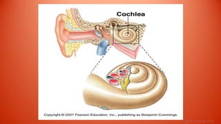 Figure 10-20 (2 of 8)
 