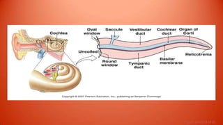 Figure 10-20 (3 of 8)
 