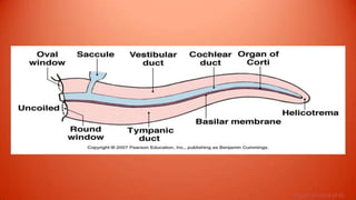 Figure 10-20 (4 of 8)
 