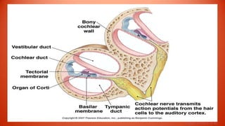 Figure 10-20 (6 of 8)
 