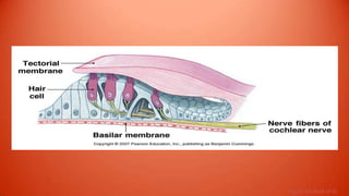 Figure 10-20 (8 of 8)
 