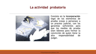 © Escuela Nacional de la Judicatura, 2019
La actividad probatoria
Consiste en la incorporación
legal de los elementos de
prueba (cosas o personas) a
un proceso judicial, con las
garantías suficientes para
que los medios de prueba
sean idóneos para formar la
convicción de quien tiene la
alta responsabilidad de
juzgar.
 