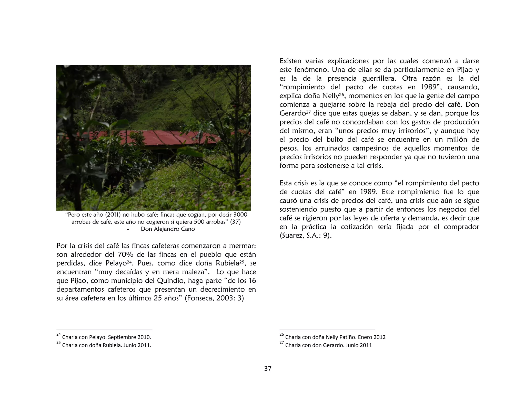 37
“Pero este año (2011) no hubo café; fincas que cogían, por decir 3000
arrobas de café, este año no cogieron si quiera 500 arrobas” (37)
- Don Alejandro Cano
Por la crisis del café las fincas cafeteras comenzaron a mermar:
son alrededor del 70% de las fincas en el pueblo que están
perdidas, dice Pelayo24. Pues, como dice doña Rubiela25, se
encuentran “muy decaídas y en mera maleza”. Lo que hace
que Pijao, como municipio del Quindío, haga parte “de los 16
departamentos cafeteros que presentan un decrecimiento en
su área cafetera en los últimos 25 años” (Fonseca, 2003: 3)
24
Charla con Pelayo. Septiembre 2010.
25
Charla con doña Rubiela. Junio 2011.
Existen varias explicaciones por las cuales comenzó a darse
este fenómeno. Una de ellas se da particularmente en Pijao y
es la de la presencia guerrillera. Otra razón es la del
“rompimiento del pacto de cuotas en 1989”, causando,
explica doña Nelly26, momentos en los que la gente del campo
comienza a quejarse sobre la rebaja del precio del café. Don
Gerardo27 dice que estas quejas se daban, y se dan, porque los
precios del café no concordaban con los gastos de producción
del mismo, eran “unos precios muy irrisorios”, y aunque hoy
el precio del bulto del café se encuentre en un millón de
pesos, los arruinados campesinos de aquellos momentos de
precios irrisorios no pueden responder ya que no tuvieron una
forma para sostenerse a tal crisis.
Esta crisis es la que se conoce como “el rompimiento del pacto
de cuotas del café” en 1989. Este rompimiento fue lo que
causó una crisis de precios del café, una crisis que aún se sigue
sosteniendo puesto que a partir de entonces los negocios del
café se rigieron por las leyes de oferta y demanda, es decir que
en la práctica la cotización sería fijada por el comprador
(Suarez, S.A.: 9).
26
Charla con doña Nelly Patiño. Enero 2012
27
Charla con don Gerardo. Junio 2011
 