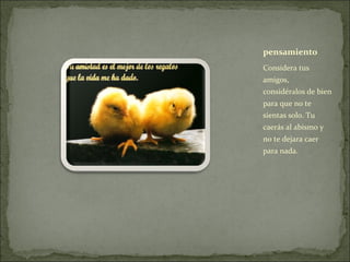 Considera tus
amigos,
considéralos de bien
para que no te
sientas solo. Tu
caerás al abismo y
no te dejara caer
para nada.
pensamiento
 