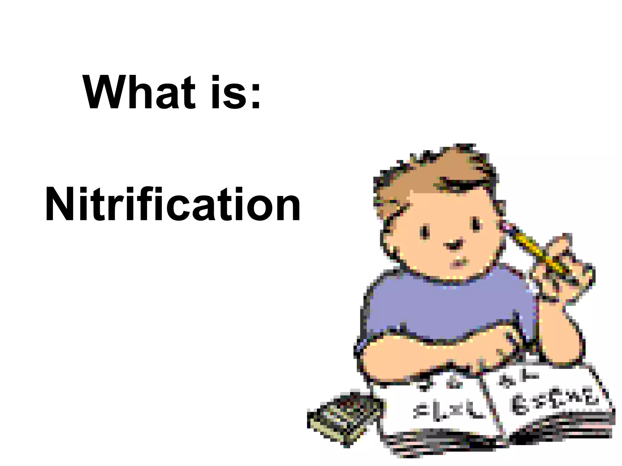What is:

Nitrification
 