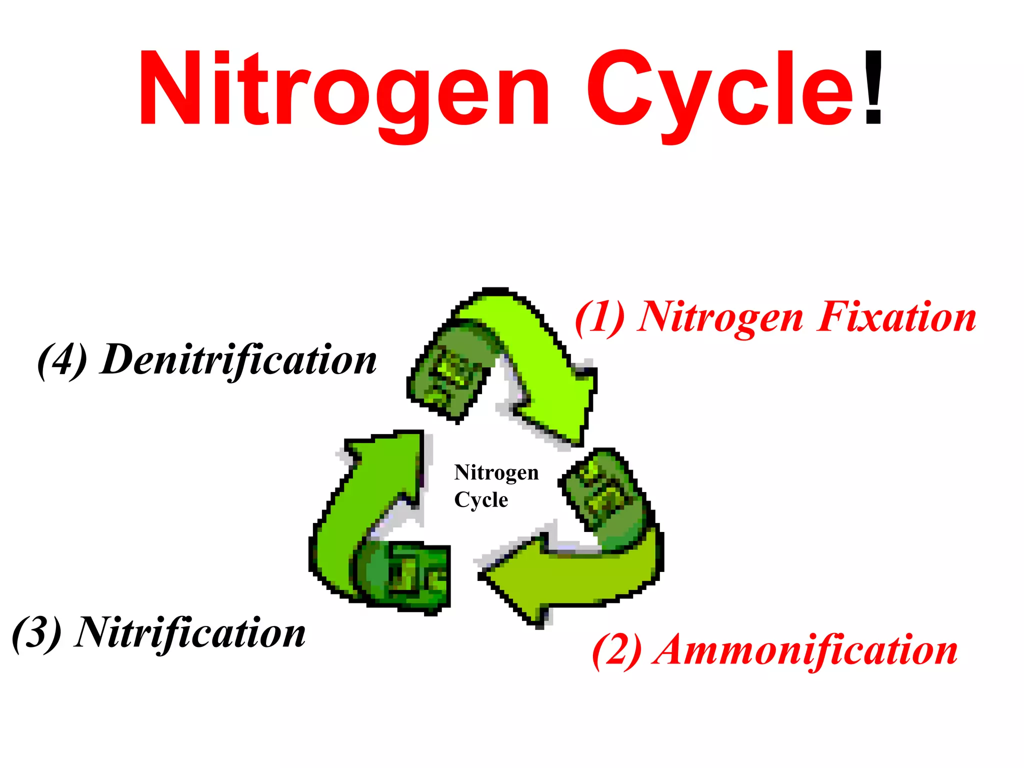 Nitrogen Cycle!

                                  (1) Nitrogen Fixation
 (4) Denitrification

                       Nitrogen
                       Cycle




(3) Nitrification                 (2) Ammonification
 