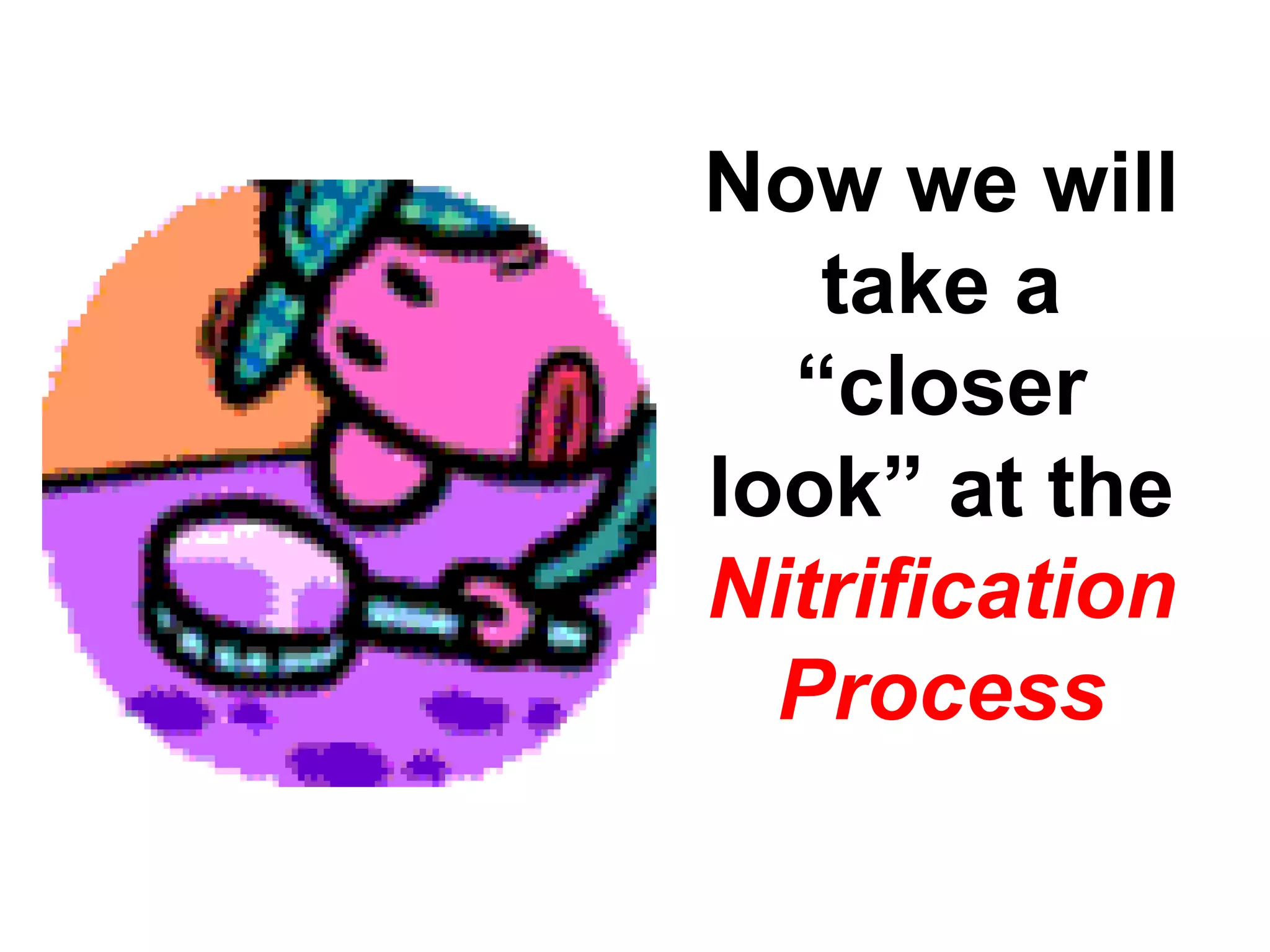 Now we will
   take a
  “closer
look” at the
Nitrification
  Process
 