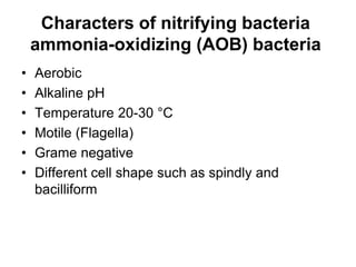Characters of nitrifying bacteria
    ammonia-oxidizing (AOB) bacteria
•   Aerobic
•   Alkaline pH
•   Temperature 20-30 °C
•   Motile (Flagella)
•   Grame negative
•   Different cell shape such as spindly and
    bacilliform
 