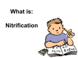 What is:

Nitrification
 