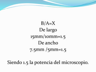 B/A=X
De largo
15mm/10mm=1.5
De ancho
7.5mm /5mm=1.5
Siendo 1.5 la potencia del microscopio.
 