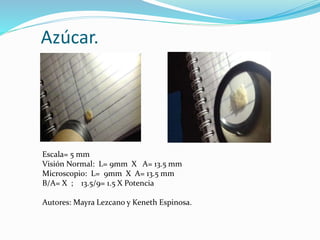 Azúcar.
Escala= 5 mm
Visión Normal: L= 9mm X A= 13.5 mm
Microscopio: L= 9mm X A= 13.5 mm
B/A= X ; 13.5/9= 1.5 X Potencia
Autores: Mayra Lezcano y Keneth Espinosa.
 