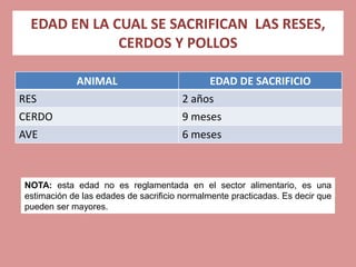 cortes-de-carnes-rojas-y-blancas-procedimientos-b-sicos-y