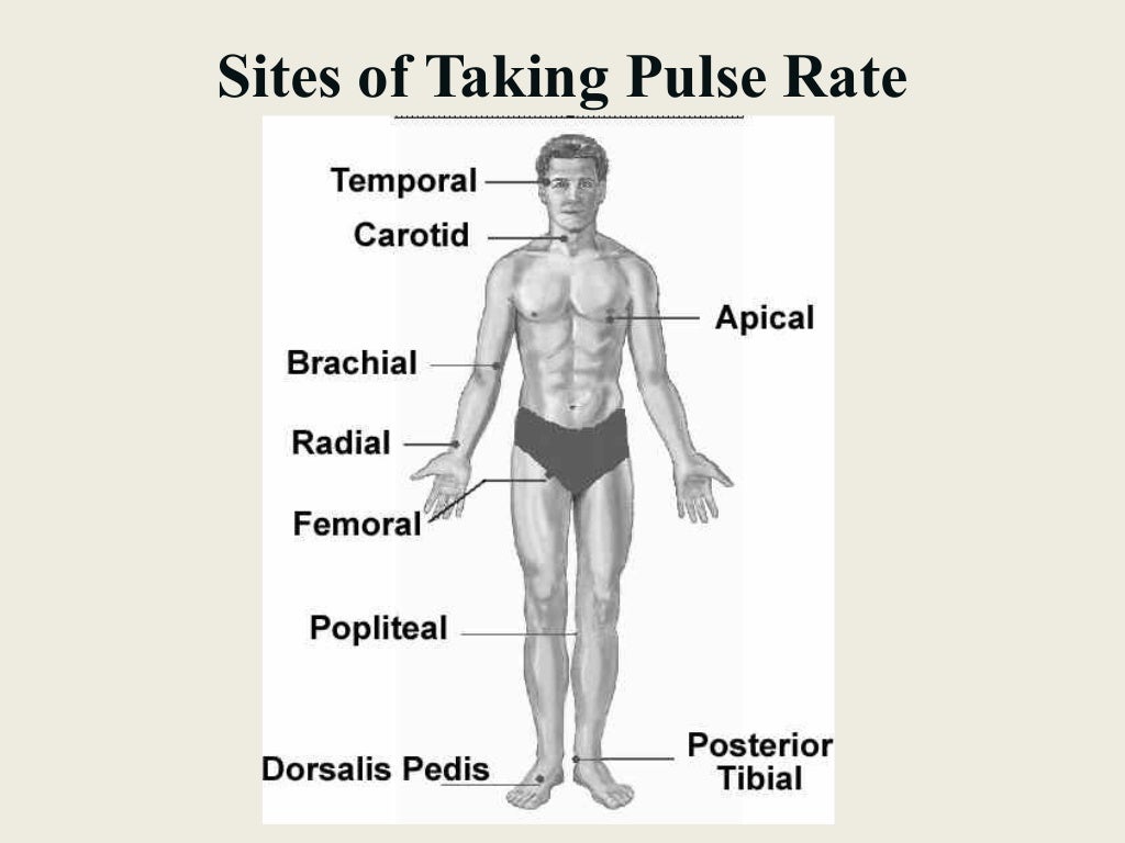 Fundamental of Nursing 4. : Vital Signs