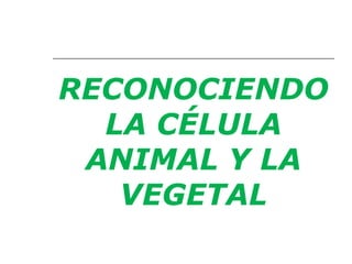 RECONOCIENDO
LA CÉLULA
ANIMAL Y LA
VEGETAL
 