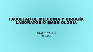 FACULTAD DE MEDICINA Y CIRUGÍA
LABORATORIO EMBRIOLOGIA
PRÁCTICA # 2
MEIOSIS
 