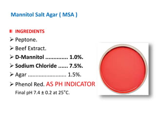 Mannitol Salt Agar ( MSA )
INGREDIENTS
 Peptone.
 Beef Extract.
 D-Mannitol .............. 1.0%.
 Sodium Chloride ...... 7.5%.
 Agar ......................... 1.5%.
 Phenol Red. AS PH INDICATOR
Final pH 7.4 ± 0.2 at 25°C.
 
