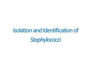 IsolationandIdentificationof
Staphylococci
 