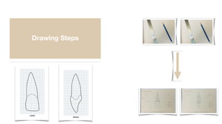 Drawing Steps
 