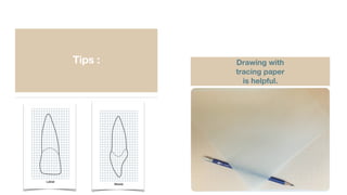 Tips : Drawing with
tracing paper
is helpful.
 