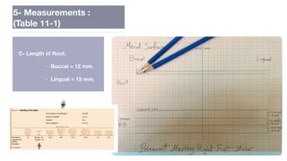 Lab.6. U 6 🏻.pdf