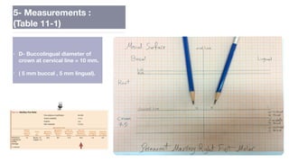Lab.6. U 6 🏻.pdf