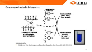 13
En resumen el método de Lowry……
 