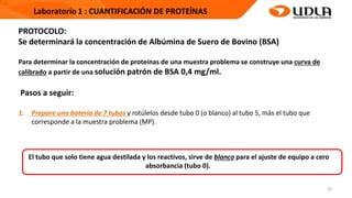 16
PROTOCOLO:
Se determinará la concentración de Albúmina de Suero de Bovino (BSA)
Para determinar la concentración de proteínas de una muestra problema se construye una curva de
calibrado a partir de una solución patrón de BSA 0,4 mg/ml.
Pasos a seguir:
1. Prepare una batería de 7 tubos y rotúlelos desde tubo 0 (o blanco) al tubo 5, más el tubo que
corresponde a la muestra problema (MP).
El tubo que solo tiene agua destilada y los reactivos, sirve de blanco para el ajuste de equipo a cero
absorbancia (tubo 0).
 