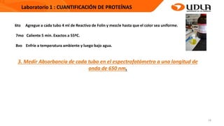18
6to Agregue a cada tubo 4 ml de Reactivo de Folin y mezcle hasta que el color sea uniforme.
7mo Caliente 5 min. Exactos a 55ºC.
8vo Enfríe a temperatura ambiente y luego bajo agua.
3. Medir Absorbancia de cada tubo en el espectrofotómetro a una longitud de
onda de 650 nm.
 
