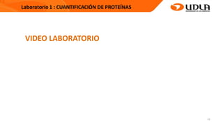 23
VIDEO LABORATORIO
 