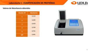24
Muestra Nº Absorbancia
1 0,154
2 0,283
3 0,429
4 0,558
5 0,701
MP 0,481
Valores de Absorbancia obtenidos
 