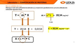 30
Y = m * X
Y = 20,54 X + 0,0154
Ojo con unidades de m y 
Obtenga el valor del coeficiente de extinción () a través de la pendiente de la curva de calibrado (m)
realizando regresión lineal.
m =  * l =
1 cm
 = 20,54 (mg/ml)-1 * cm-1
20,54 (mg/ml)-1
 