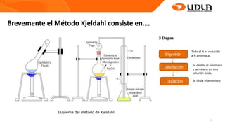 5
Brevemente el Método Kjeldahl consiste en….
3 Etapas:
Digestión
Destilación
Titulación
Todo el N es reducido
a N amoniacal
Se destila el amoniaco
y se retiene en una
solución ácida
Se titula el amoniaco
Esquema del método de Kjeldahl.
 