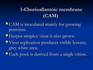 Comprehensive Methods for Viral Infection Diagnosis and Virus ...