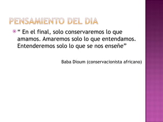 “  En el final, solo conservaremos lo que amamos. Amaremos solo lo que entendamos. Entenderemos solo lo que se nos enseñe” Baba Dioum (conservacionista africano) 