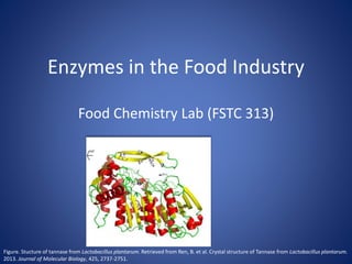Figure. Stucture of tannase from Lactobacillus plantarum. Retrieved from Ren, B. et al. Crystal structure of Tannase from Lactobacillus plantarum.
2013. Journal of Molecular Biology, 425, 2737-2751.
Enzymes in the Food Industry
Food Chemistry Lab (FSTC 313)
 