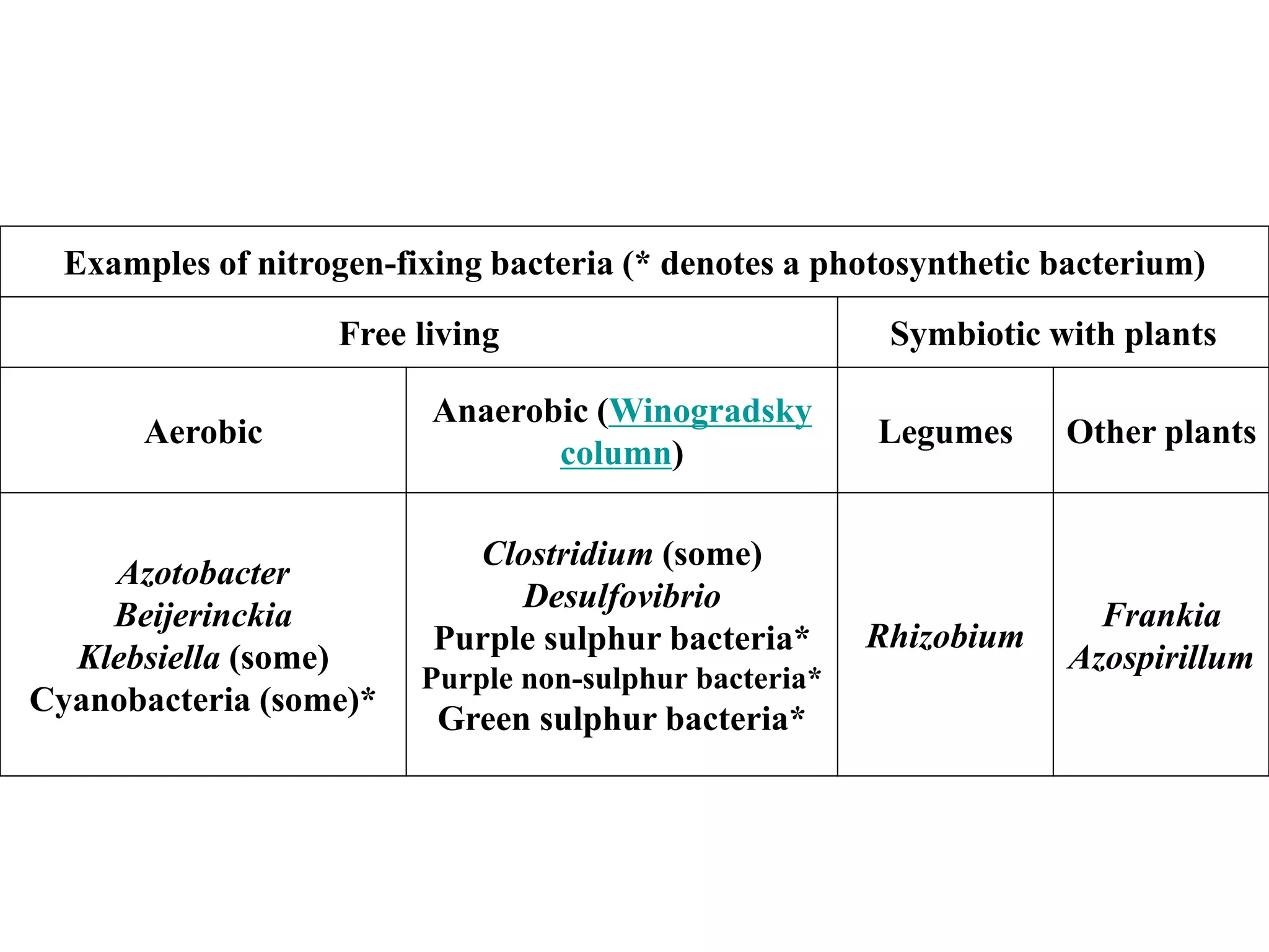 Nitrogen Fixing Plants Examples