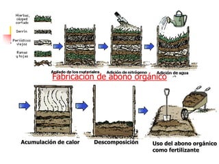 Acumulación de calor Descomposición Uso del abono orgánico
como fertilizante
Fabricación de abono orgánico
 