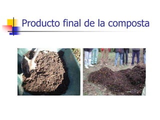 Producto final de la composta
 