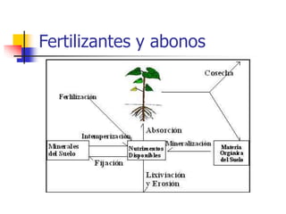 Fertilizantes y abonos
 