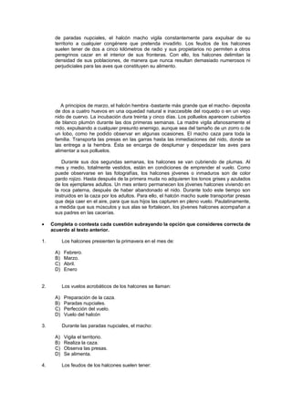 de paradas nupciales, el halcón macho vigila constantemente para expulsar de su
      territorio a cualquier congénere que pretenda invadirlo. Los feudos de los halcones
      suelen tener de dos a cinco kilómetros de radio y sus propietarios no permiten a otros
      peregrinos cazar en el interior de sus fronteras. Con ello, los halcones delimitan la
      densidad de sus poblaciones, de manera que nunca resultan demasiado numerosos ni
      perjudiciales para las aves que constituyen su alimento.




         A principios de marzo, el halcón hembra -bastante más grande que el macho- deposita
      de dos a cuatro huevos en una oquedad natural e inaccesible del roquedo o en un viejo
      nido de cuervo. La incubación dura treinta y cinco días. Los polluelos aparecen cubiertos
      de blanco plumón durante las dos primeras semanas. La madre vigila afanosamente el
      nido, expulsando a cualquier presunto enemigo, aunque sea del tamaño de un zorro o de
      un lobo, como he podido observar en algunas ocasiones. El macho caza para toda la
      familia. Transporta las presas en las garras hasta las inmediaciones del nido, donde se
      las entrega a la hembra. Ésta se encarga de desplumar y despedazar las aves para
      alimentar a sus polluelos.

         Durante sus dos segundas semanas, los halcones se van cubriendo de plumas. Al
      mes y medio, totalmente vestidos, están en condiciones de emprender el vuelo. Como
      puede observarse en las fotografías, los halcones jóvenes o inmaduros son de color
      pardo rojizo. Hasta después de la primera muda no adquieren los tonos grises y azulados
      de los ejemplares adultos. Un mes entero permanecen los jóvenes halcones viviendo en
      la roca paterna, después de haber abandonado el nido. Durante todo este tiempo son
      instruidos en la caza por los adultos. Para ello, el halcón macho suele transportar presas
      que deja caer en el aire, para que sus hijos las capturen en pleno vuelo. Paulatinamente,
      a medida que sus músculos y sus alas se fortalecen, los jóvenes halcones acompañan a
      sus padres en las cacerías.

•    Completa o contesta cada cuestión subrayando la opción que consideres correcta de
     acuerdo al texto anterior.

1.         Los halcones presienten la primavera en el mes de:

      A)   Febrero.
      B)   Marzo.
      C)   Abril.
      D)   Enero


2.         Los vuelos acrobáticos de los halcones se llaman:

      A)   Preparación de la caza.
      B)   Paradas nupciales.
      C)   Perfección del vuelo.
      D)   Vuelo del halcón

3.         Durante las paradas nupciales, el macho:

      A)   Vigila el territorio.
      B)   Realiza la caza.
      C)   Observa las presas.
      D)   Se alimenta.

4.         Los feudos de los halcones suelen tener:
 