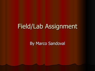 Field/Lab Assignment By Marco Sandoval 