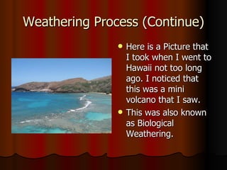 Weathering Process (Continue) Here is a Picture that I took when I went to Hawaii not too long ago. I noticed that this was a mini volcano that I saw. This was also known as Biological Weathering. 
