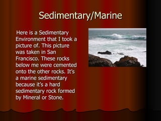 Sedimentary/Marine Here is a Sedimentary Environment that I took a picture of. This picture was taken in San Francisco. These rocks below me were cemented onto the other rocks. It’s a marine sedimentary because it’s a hard sedimentary rock formed by Mineral or Stone. 
